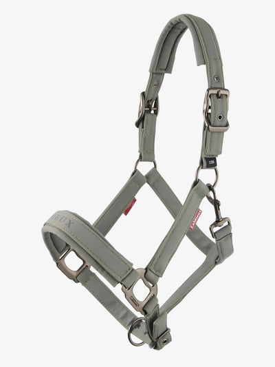 Lemieux Finesse Headcollar