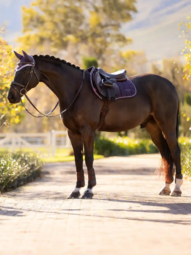 LeMieux Loire Classic Close Contact Square Damson