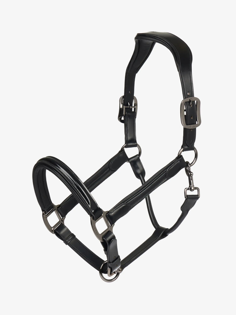Lemieux Patent Leather Headcollar