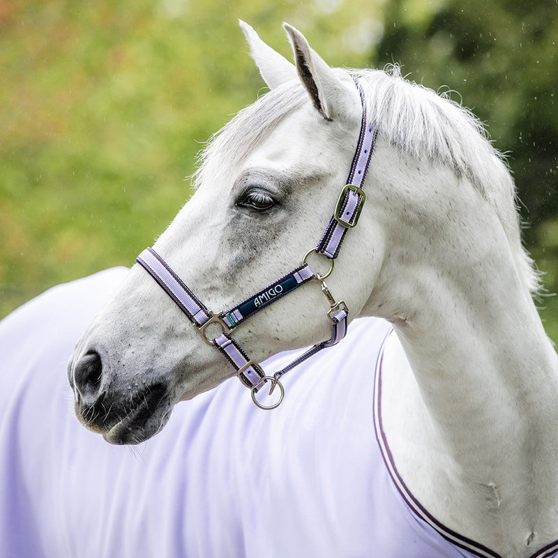 Horseware Amigo Halter - Lavender - Cob