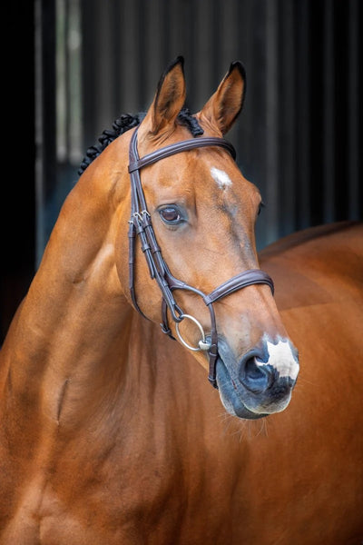 Shires Lusso Padded Bridle