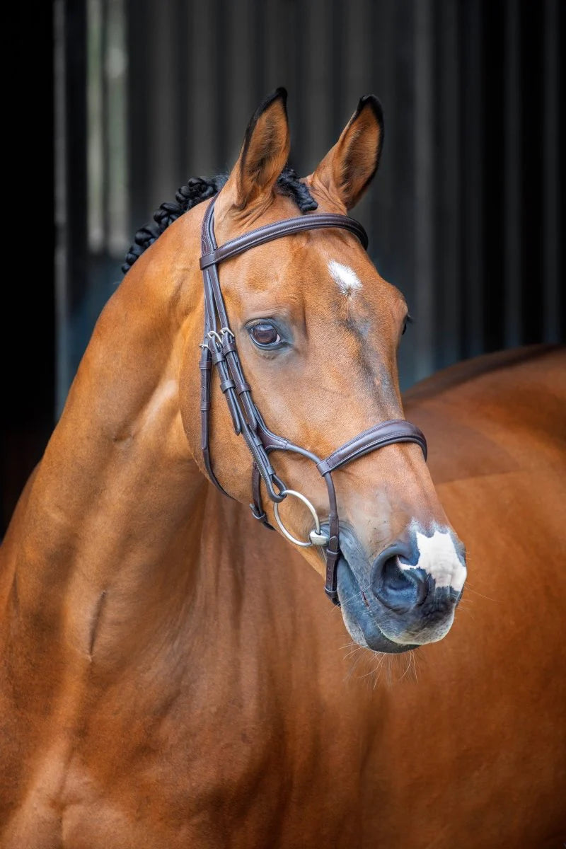 Shires Lusso Padded Bridle