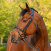 Equinavia Saga Padded Dressage Bridle & Reins