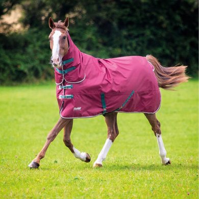 Shires Tempest Original 200G Maroon