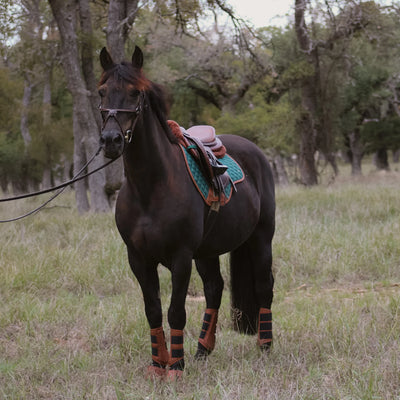 Close Contact Pad - Cypress & Cognac