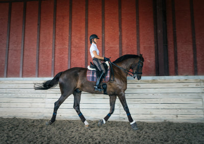 Dressage Pad, Field Plaid & Hickory
