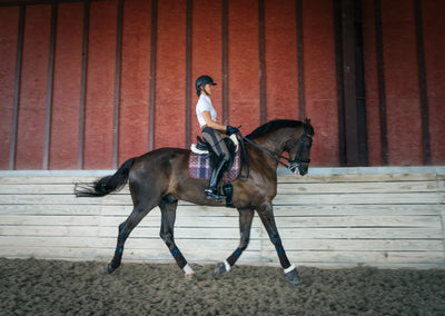 Sixteen Cypress Dressage Pad - Field Plaid & Hickory
