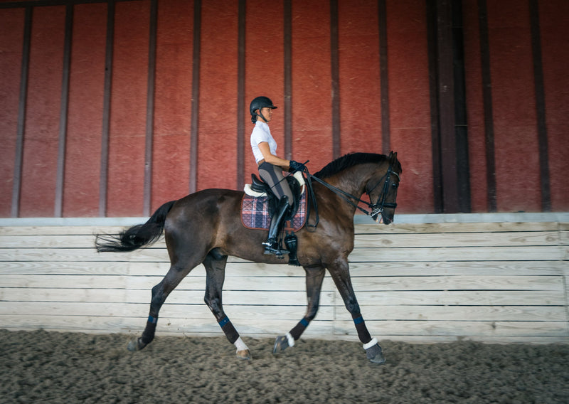 Dressage Pad, Field Plaid & Hickory