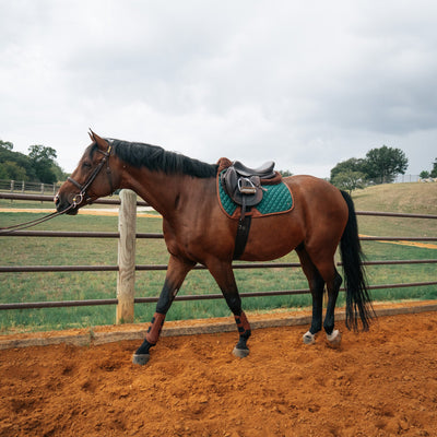 Jumper Pad, Cypress & Cognac