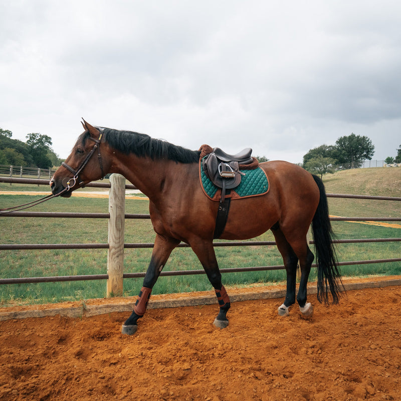 Jumper Pad, Cypress & Cognac