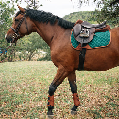 Leatherette Splint Boots, Hickory