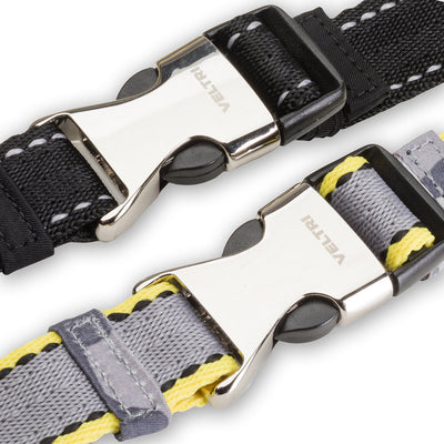 Biltmore Belt