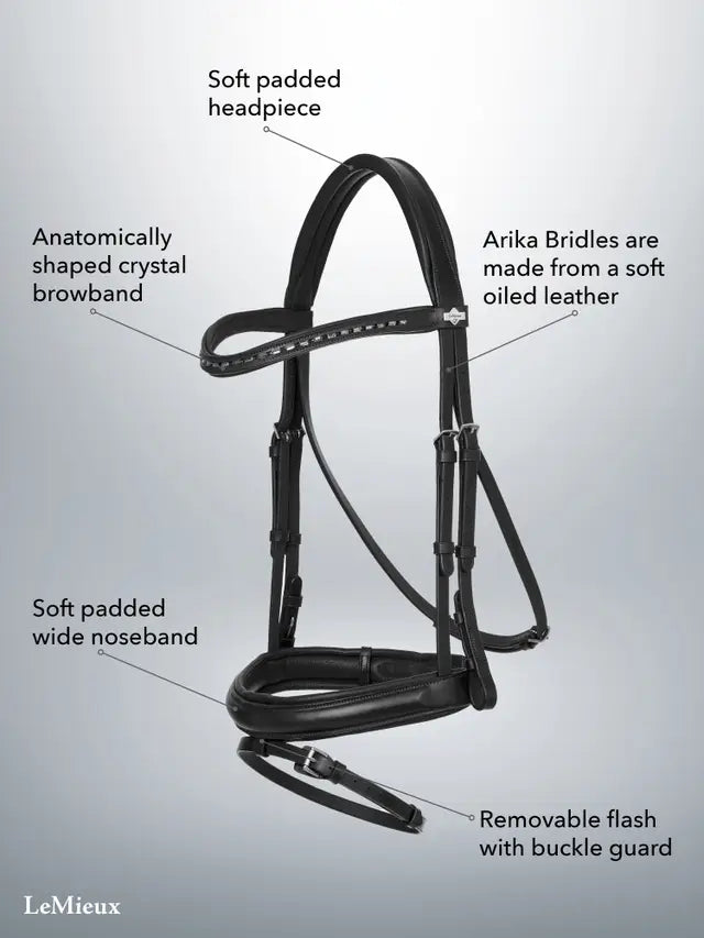 LeMieux Arika Bridle