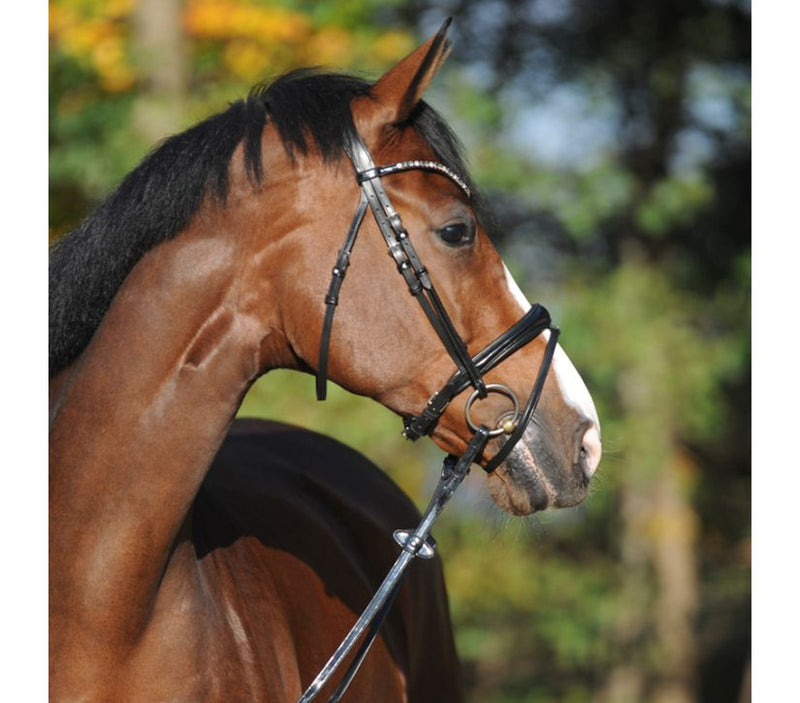 Kavalkade Reyna Bridle