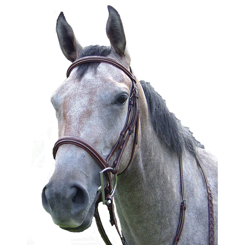 Pro-Trainer Snaffle Bridle