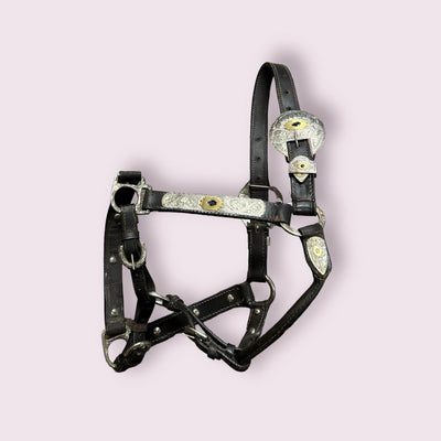 Western Show Halter - Havana - USED