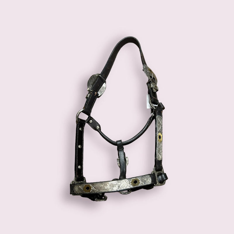 Western Show Halter - Havana - USED