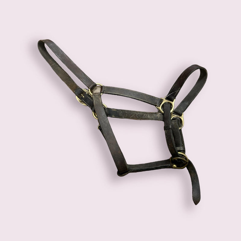 Leather Halter - Brown - USED