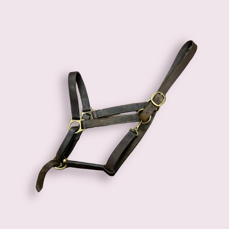 Leather Halter - Brown - USED