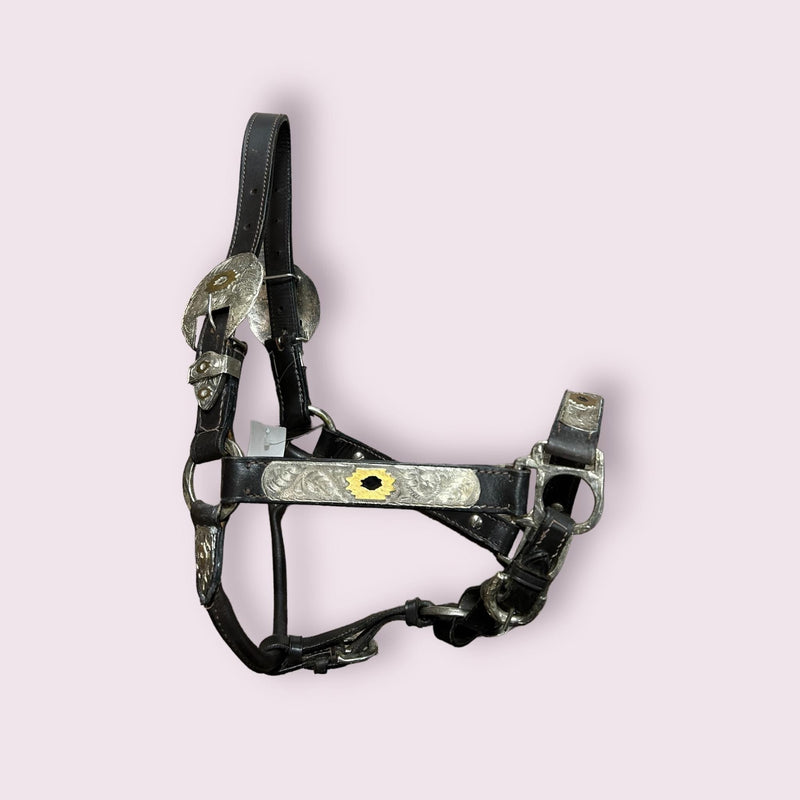 Western Show Halter - Havana - USED