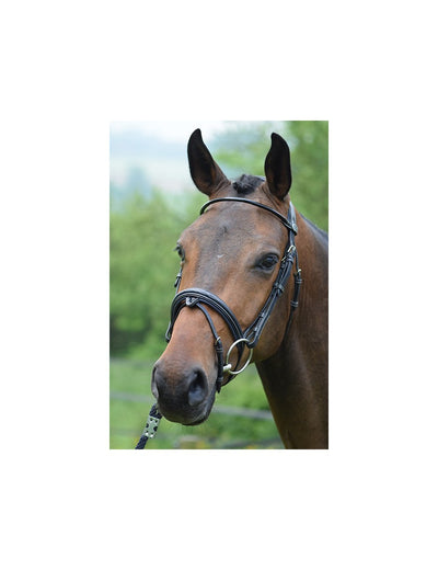 Jump'in Wednesday Bridle - Full Size