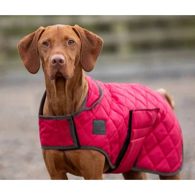 Digby and Fox Quilted Dog Blanket - Red