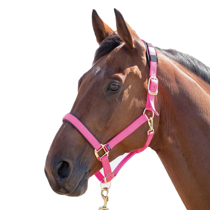 Shires "Topaz" Nylon Halter -  Pink