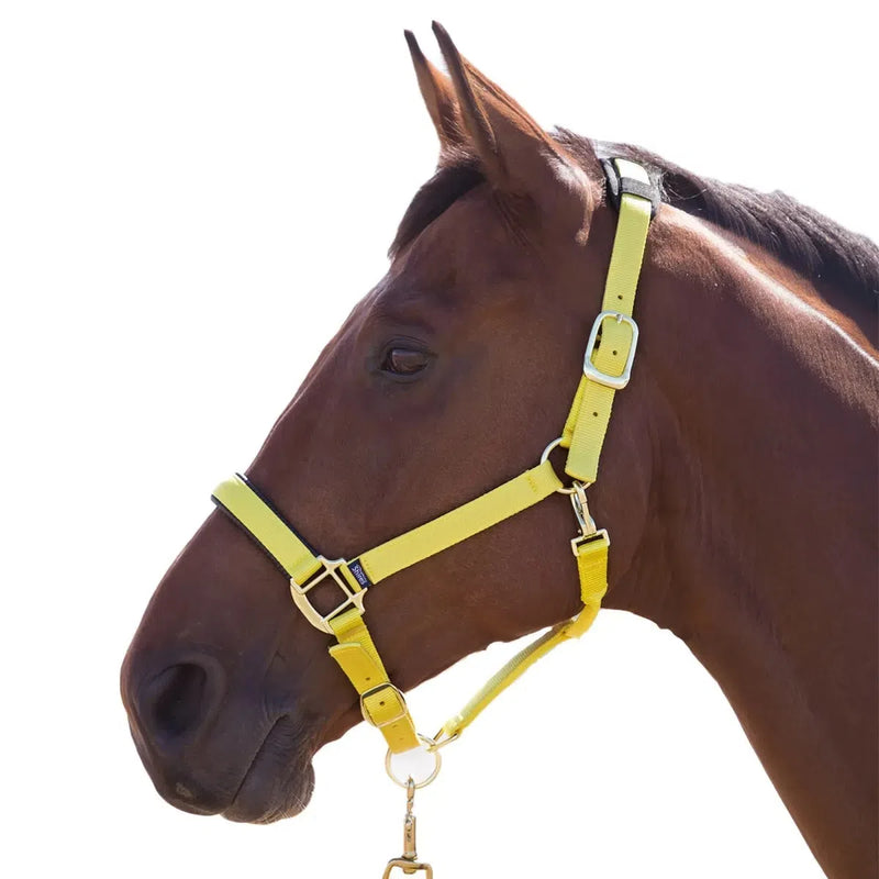 Shires "Topaz" Nylon Halter - Yellow - Full Size