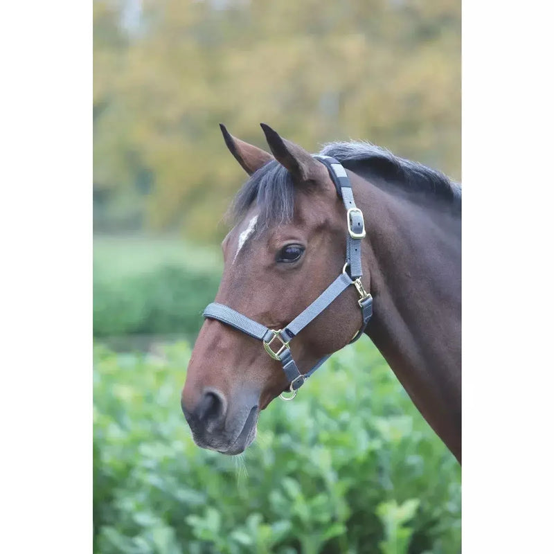 Shires "Topaz" Nylon Halter Grey