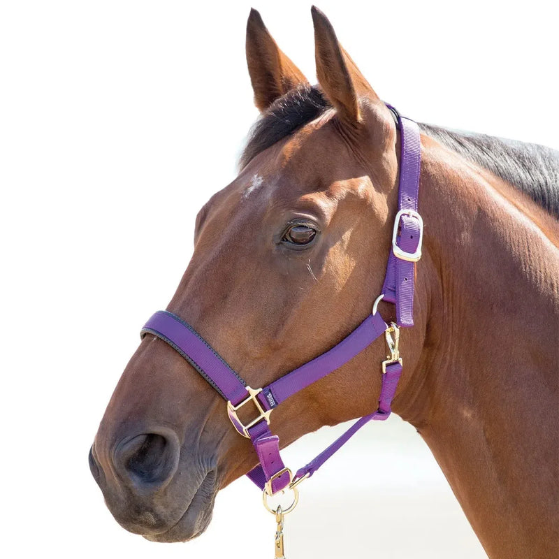 Shires "Topaz" Nylon Halter - Purple - Full Size