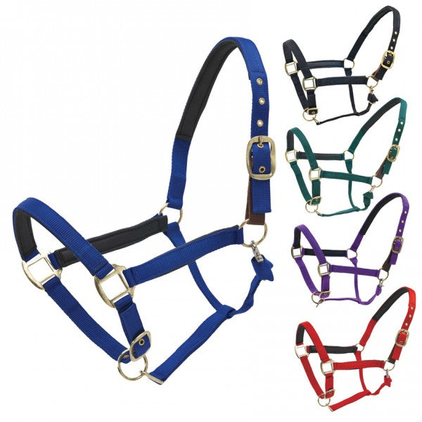 Centaur Super Comfort Halter