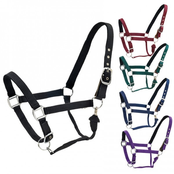 Ovation Cushion Centaur Web Breakaway Halter