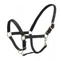 Ovation Cushion Centaur Web Breakaway Halter