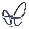 Ovation Cushion Centaur Web Breakaway Halter