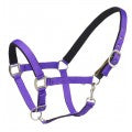 Ovation Cushion Centaur Web Breakaway Halter