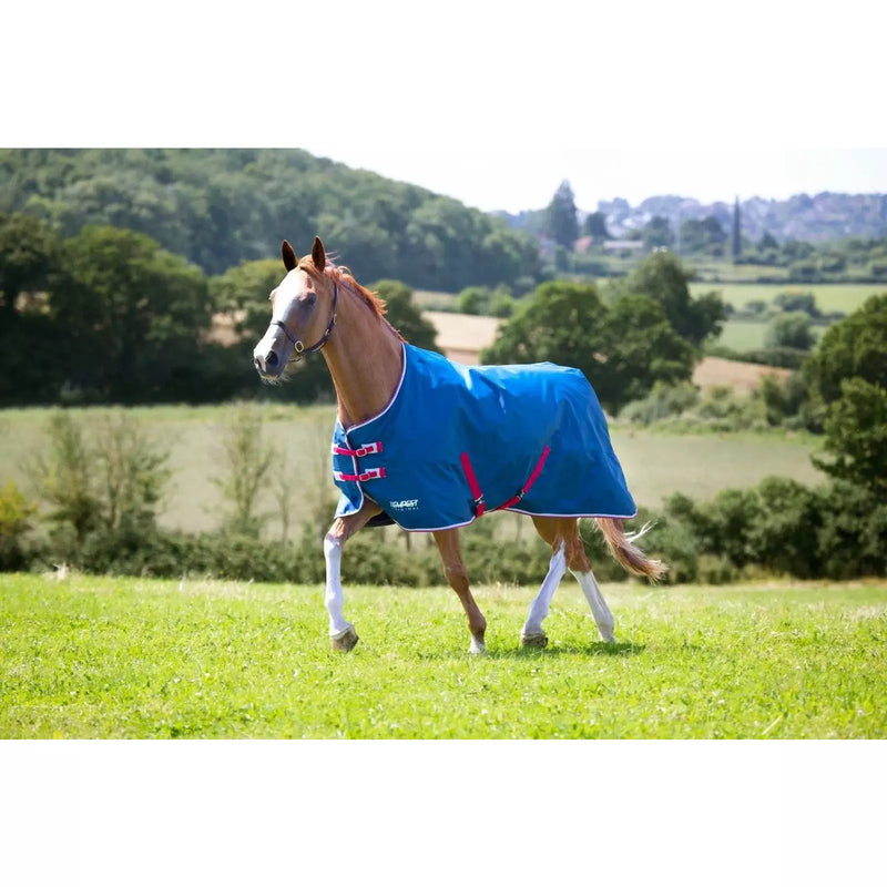 Shires Tempest Original Turnout Lite - Teal