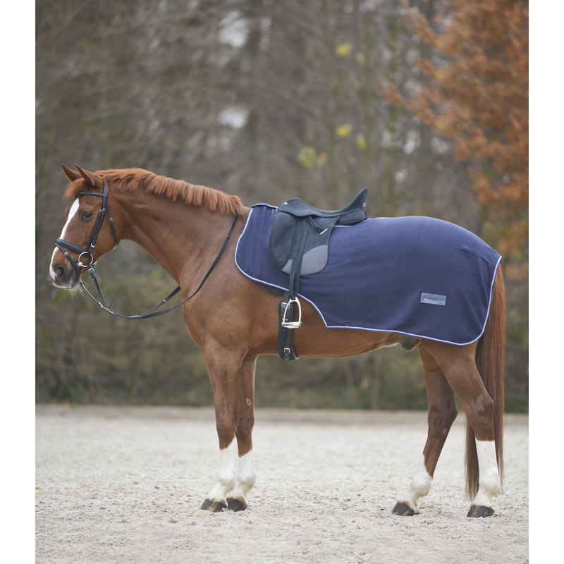 Waldhausen Economic Quarter Sheet - Navy - Pony Size