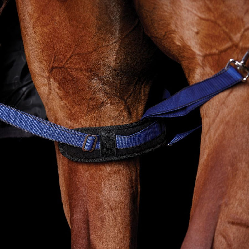 Weatherbeeta Padded Leg Straps