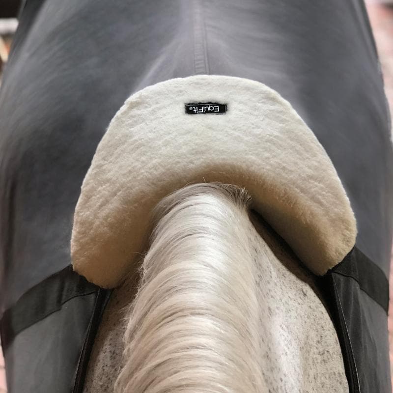 Equifit Wither Shield