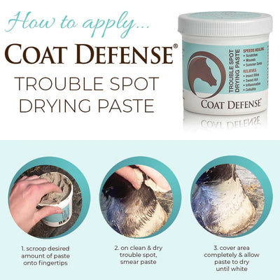 Coat Defense Trouble Spot Drying Paste - 10oz
