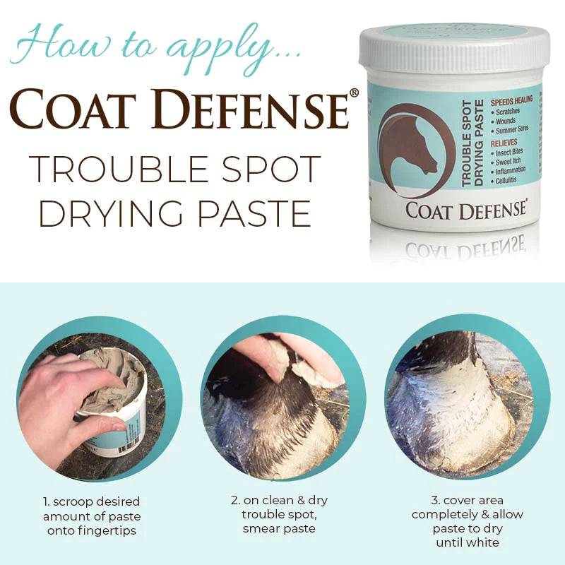 Coat Defense Trouble Spot Drying Paste - 10oz