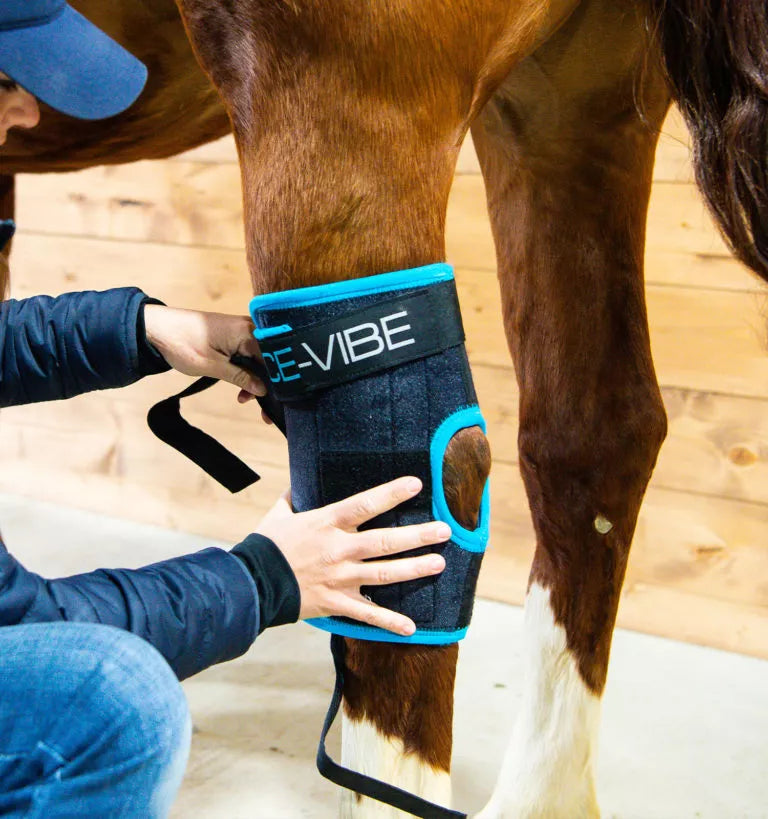 Horseware Ice Vibe Hock Wrap