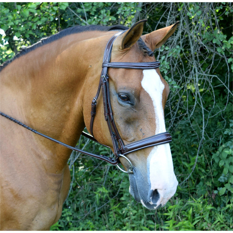 Red Barn Ocala Bridle