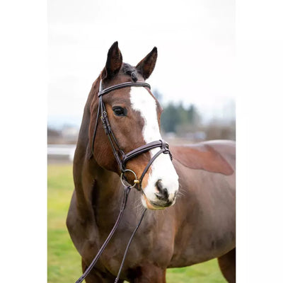 Marco Simone Italian Monocrown Bridle w/ Removable Flash