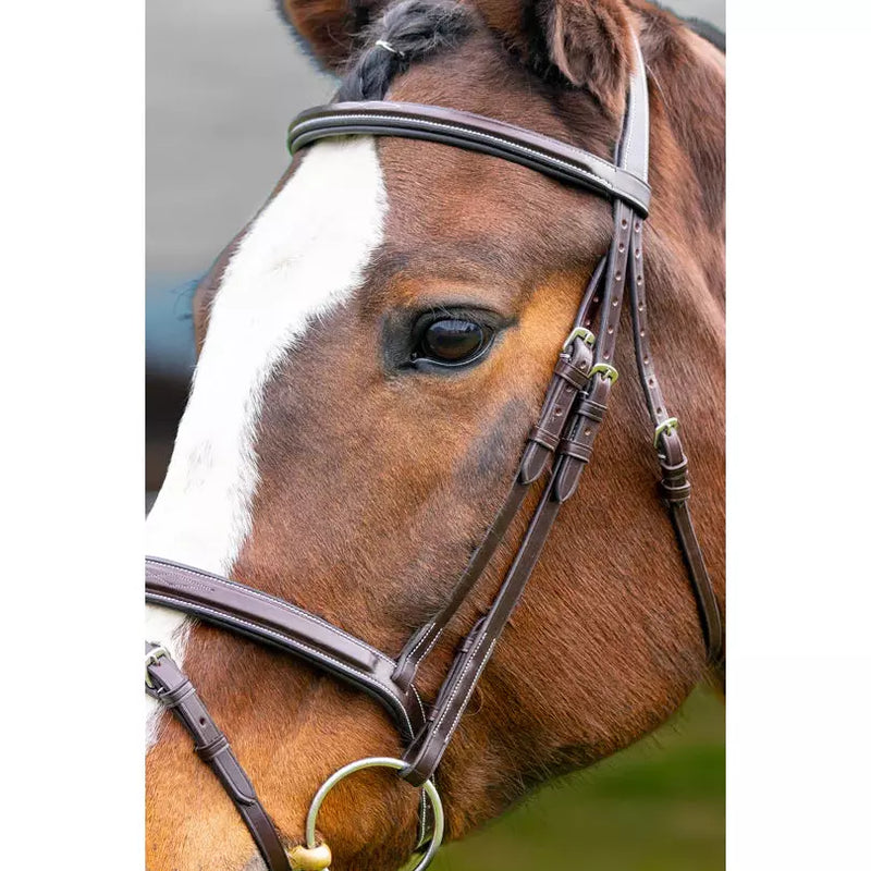 Marco Simone Italian Monocrown Bridle w/ Removable Flash