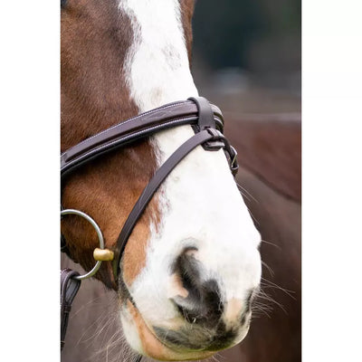 Marco Simone Italian Monocrown Bridle w/ Removable Flash