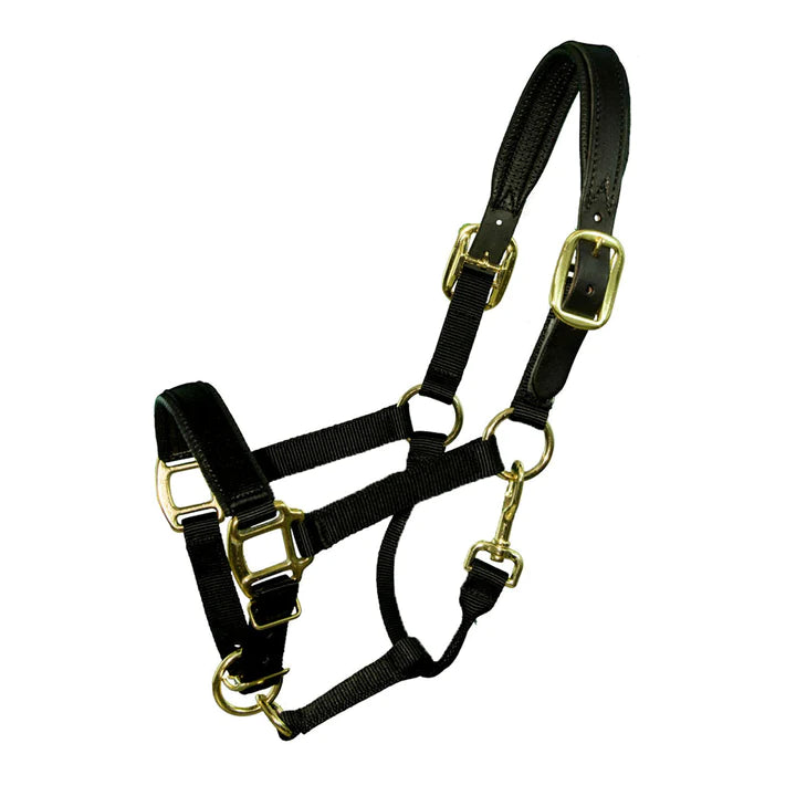 Intrepid Premium Nylon Breakaway Halter - Black