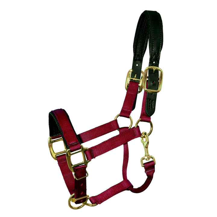 INTREPID PREMIUM BREAKAWAY NYLON HALTER - Burgundy - Cob Size