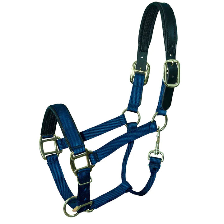 Intrepid Premium Nylon Breakaway Halter - Navy