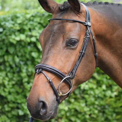 Jump'in Wednesday Bridle - Full Size